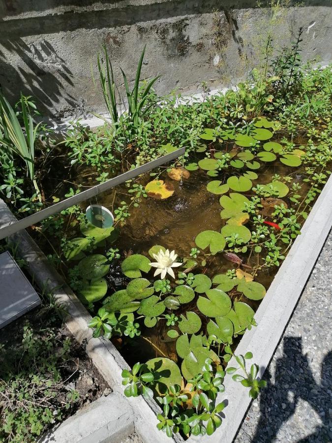 Il Giardino Di Elettra - Freeparking Aparthotel Генуа Екстериор снимка